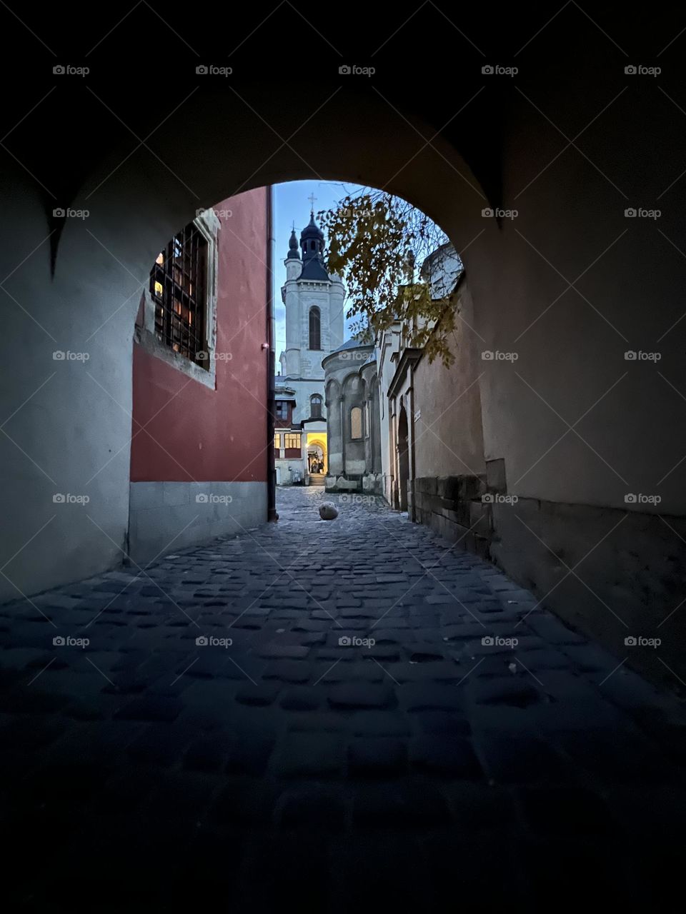 Night Lviv city architecture