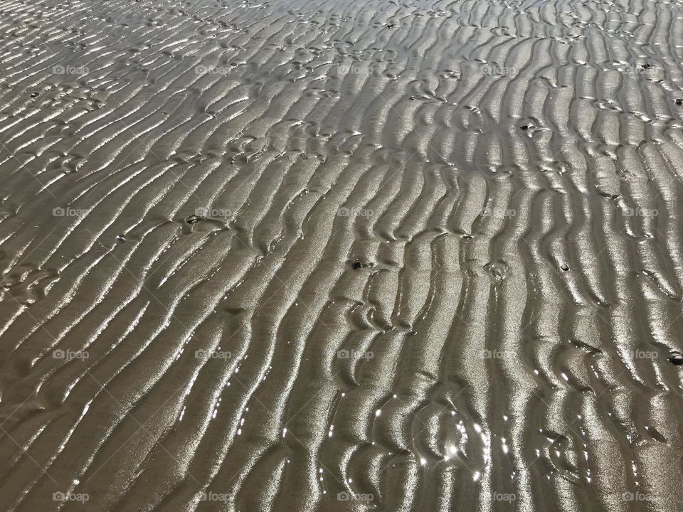 Wet sand closeup at low tide