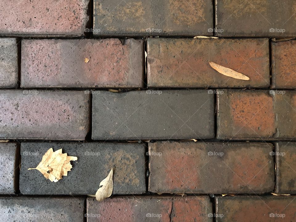 Outdoor Bricks