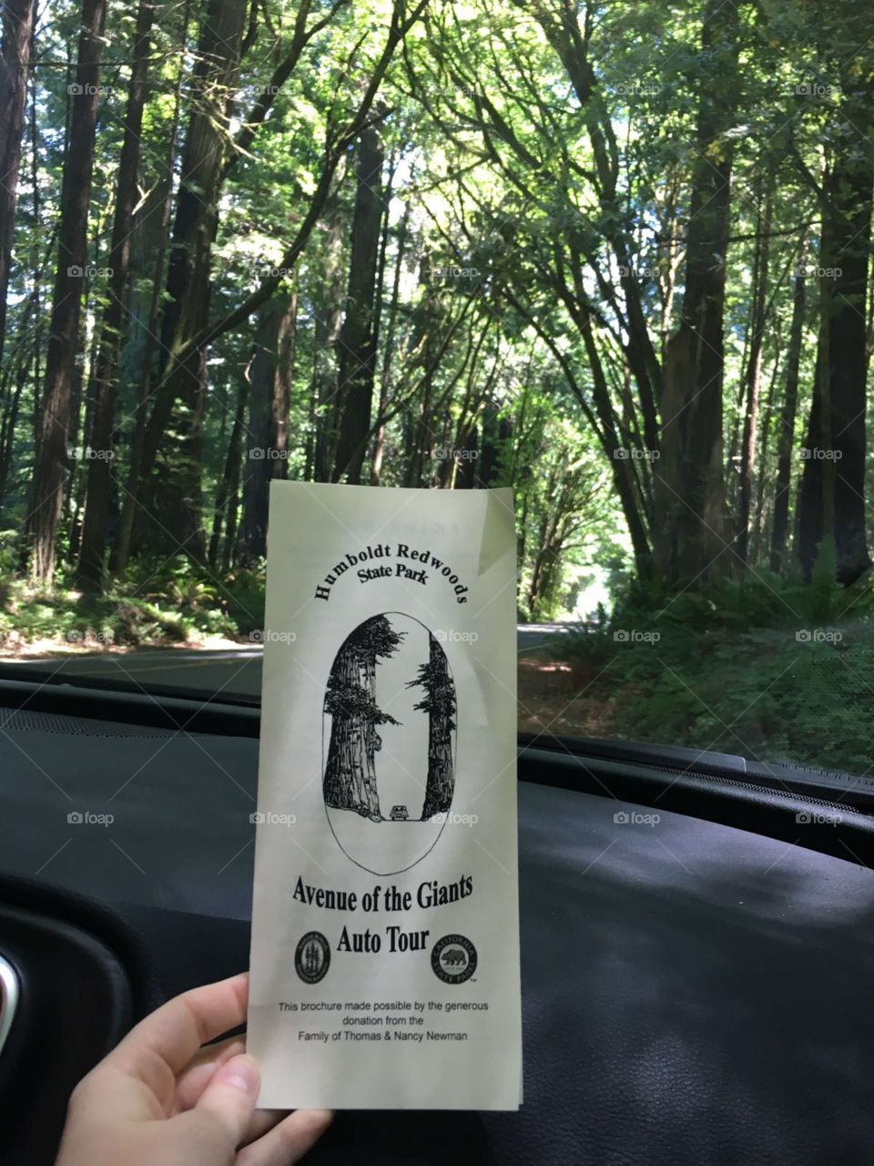 Outdoors, No Person, Wood, Nature, Travel