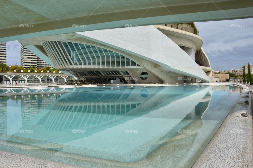 Palacio de las Artes Reina Sofía (Valencia - Spain)