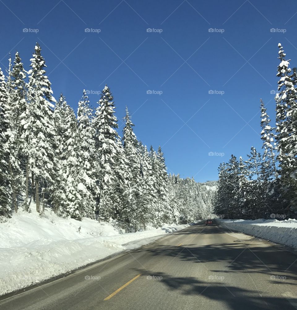 Snowy drive