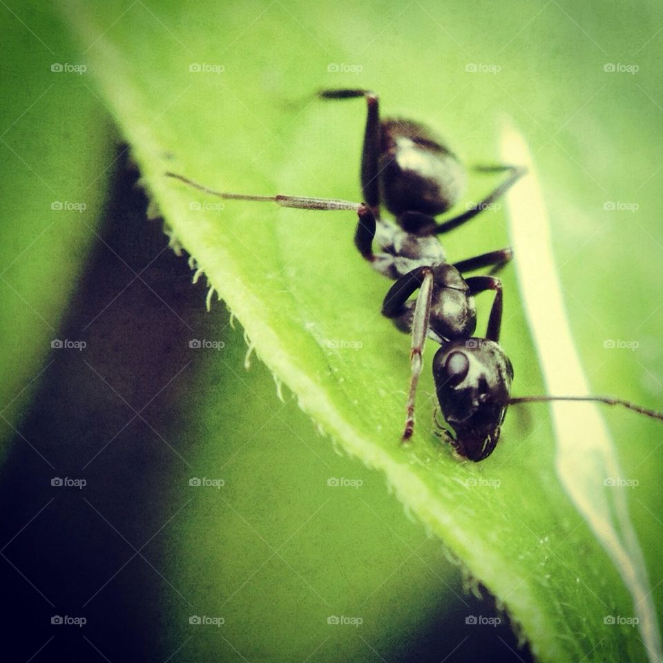 Tiny yet not so tiny