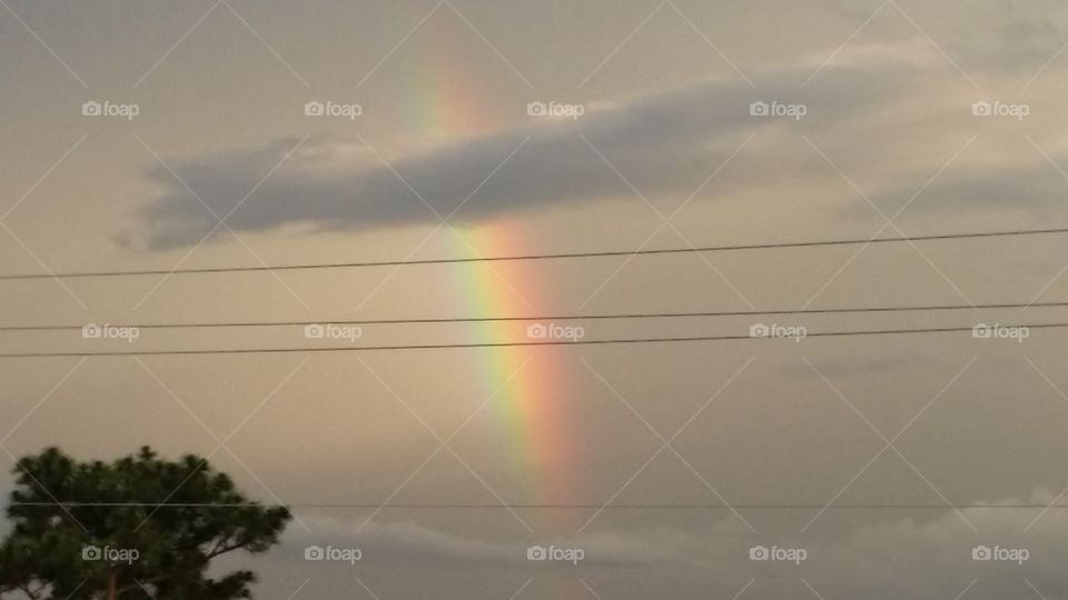 Storm and Rainbow