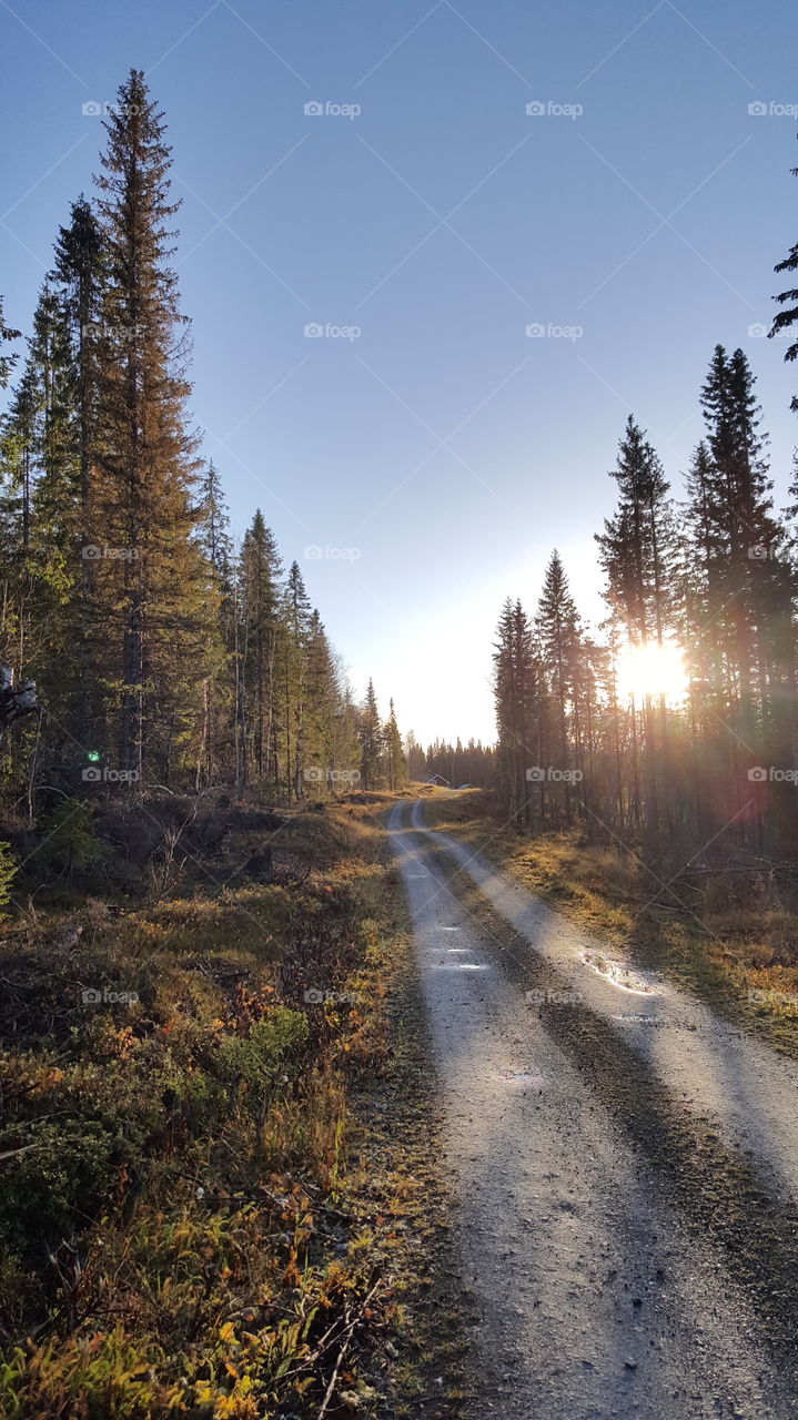 kolåsen in oktober