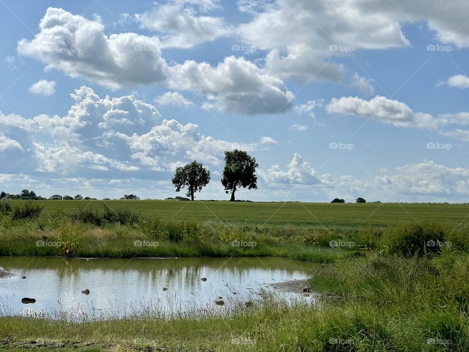 Local countryside 