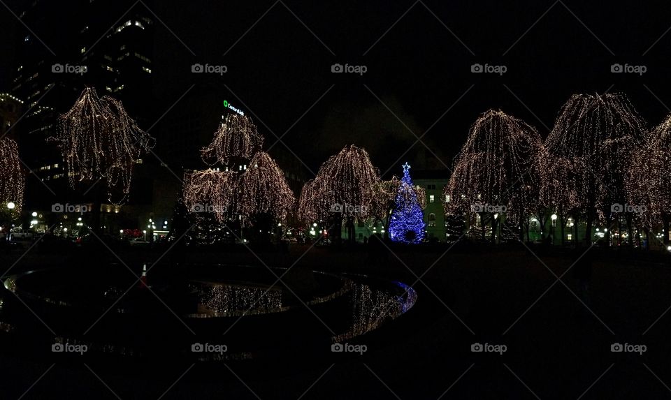 Christmas Tree in Park