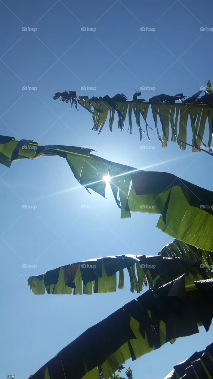 Sun l