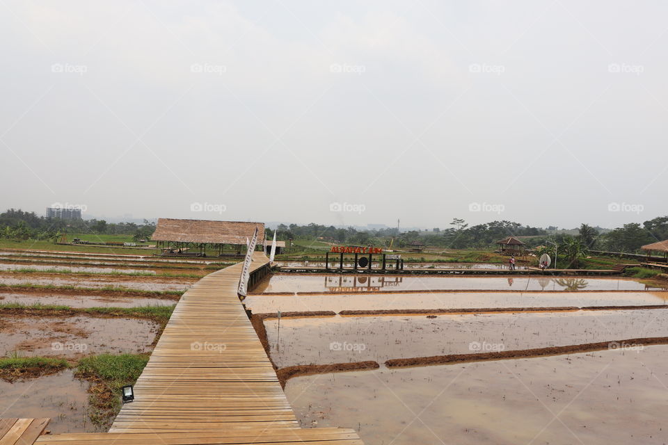 wooden bridge in the fields