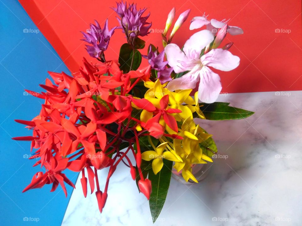 Beautiful colored flowers on vase