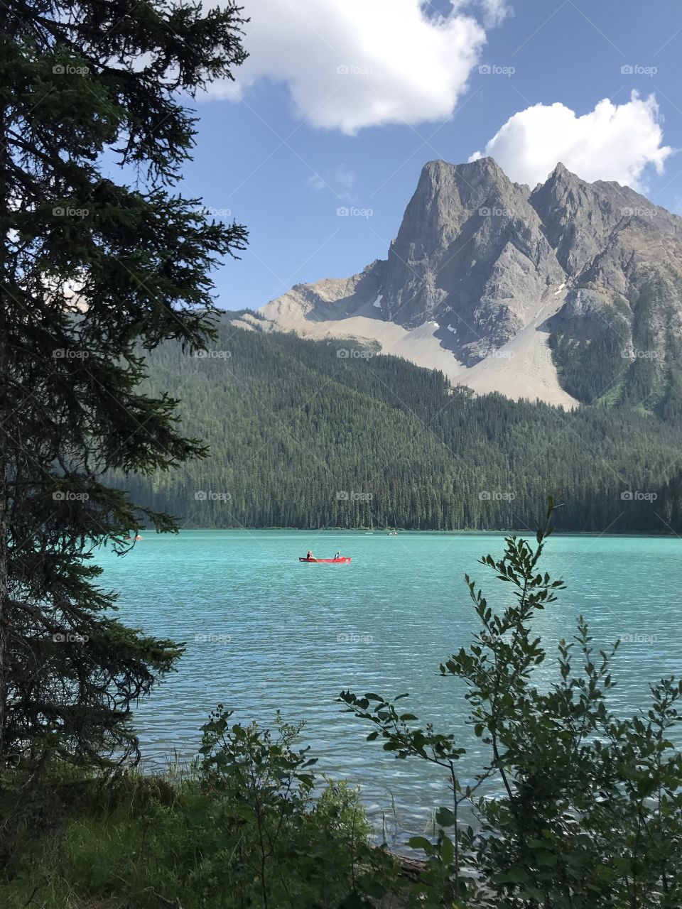 Clear turquoise water lake in the Canadian Rockies with bright blue sky and trees. White clouds are floating behind the mountain. Trees line the lake. 