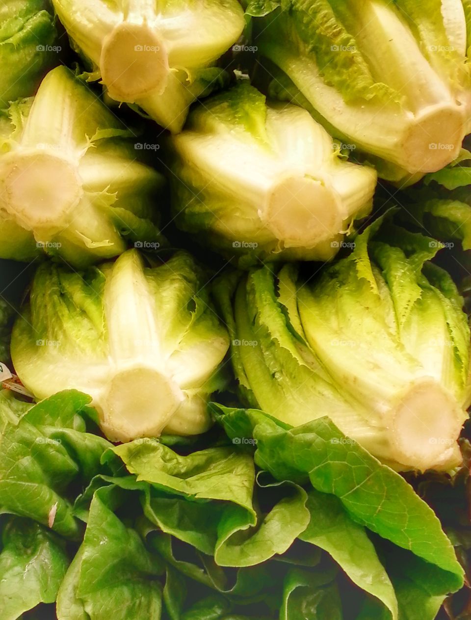 Stack of Romaine Lettuce