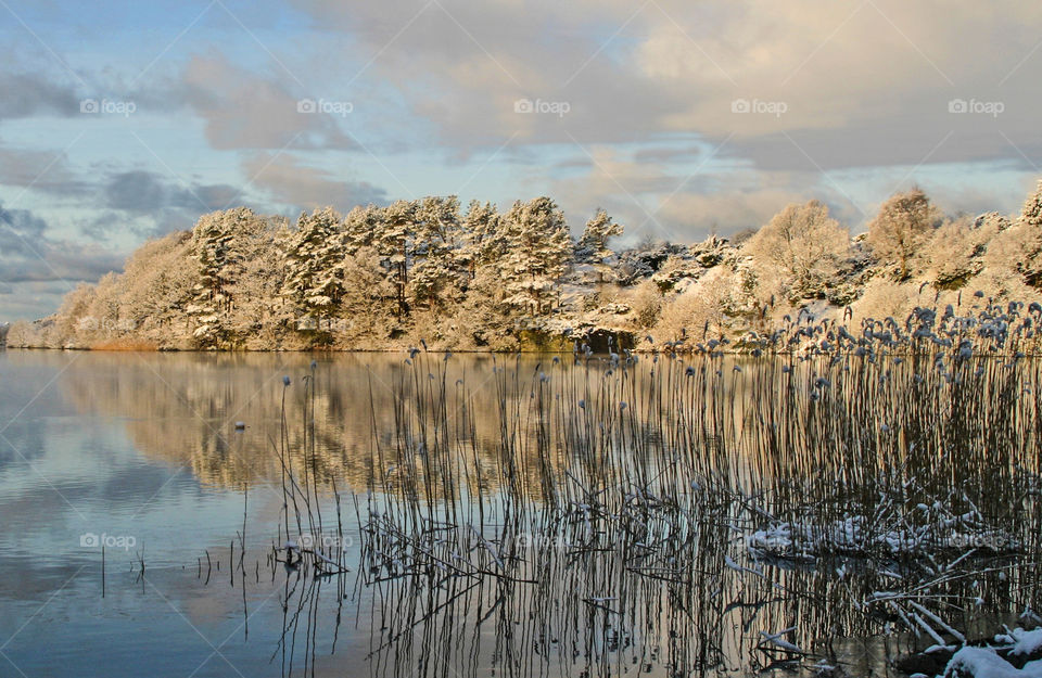 Scenic view of lake and mountain