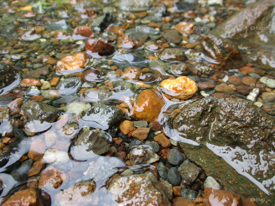 stone in water