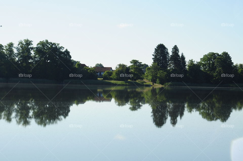 Water, Lake, Reflection, River, Tree