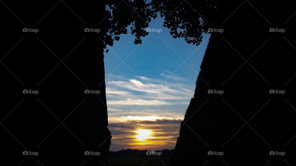 Sunrise Between Trees