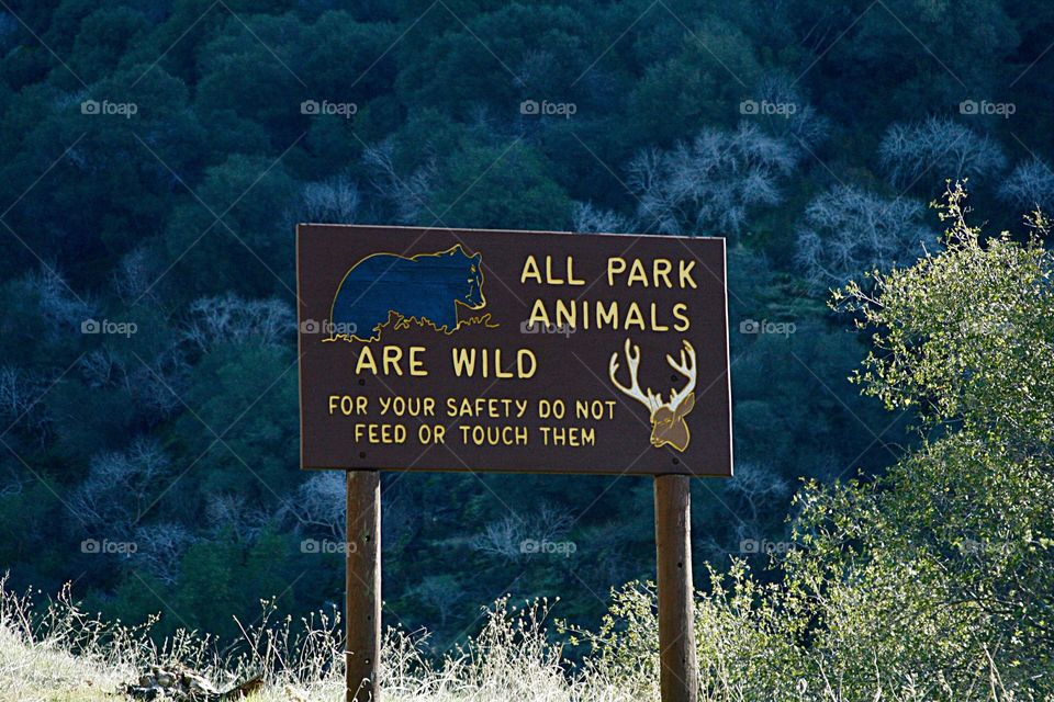 Sign in the park. Wild animals