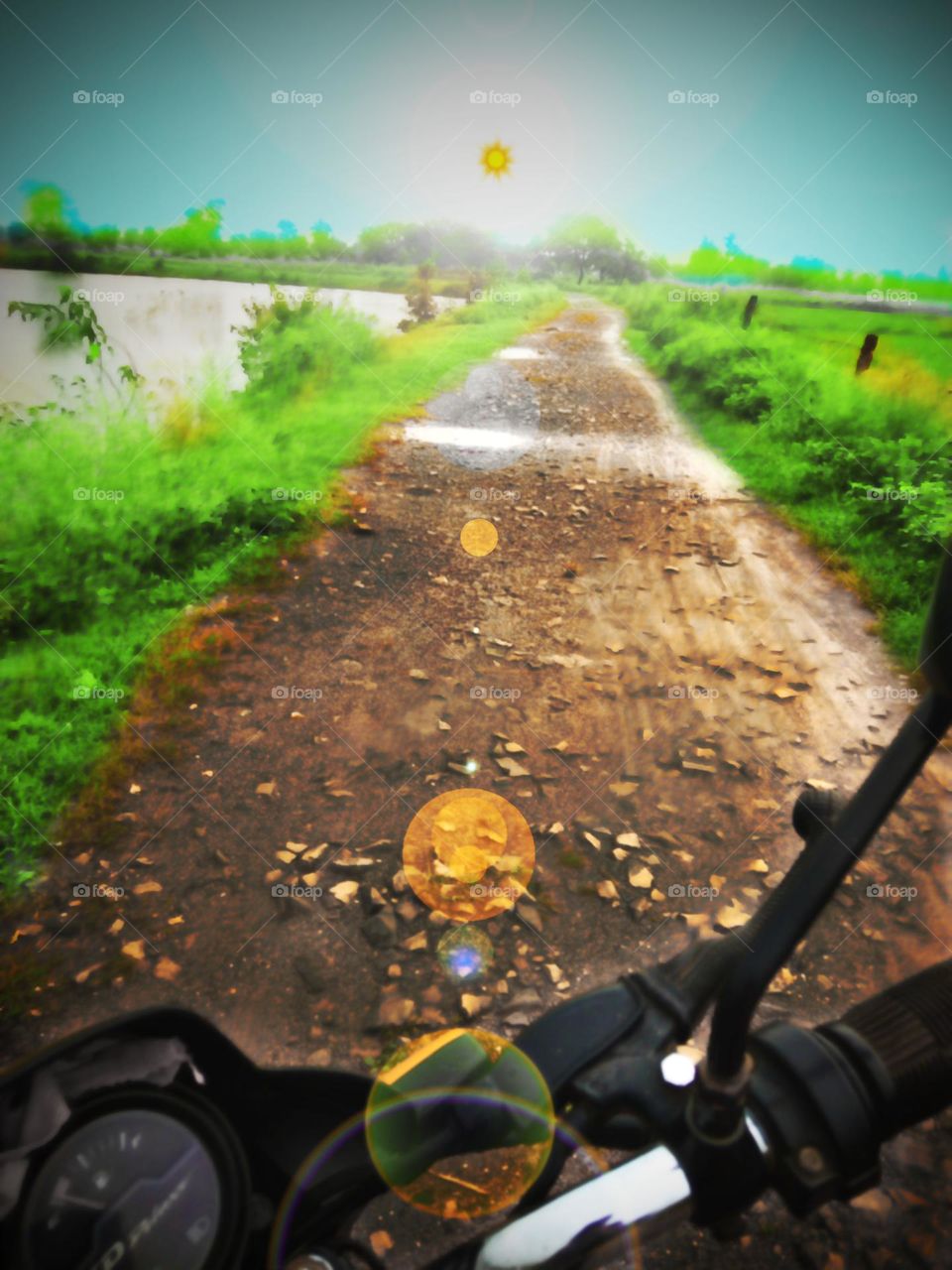 Morning Time Nature 😗