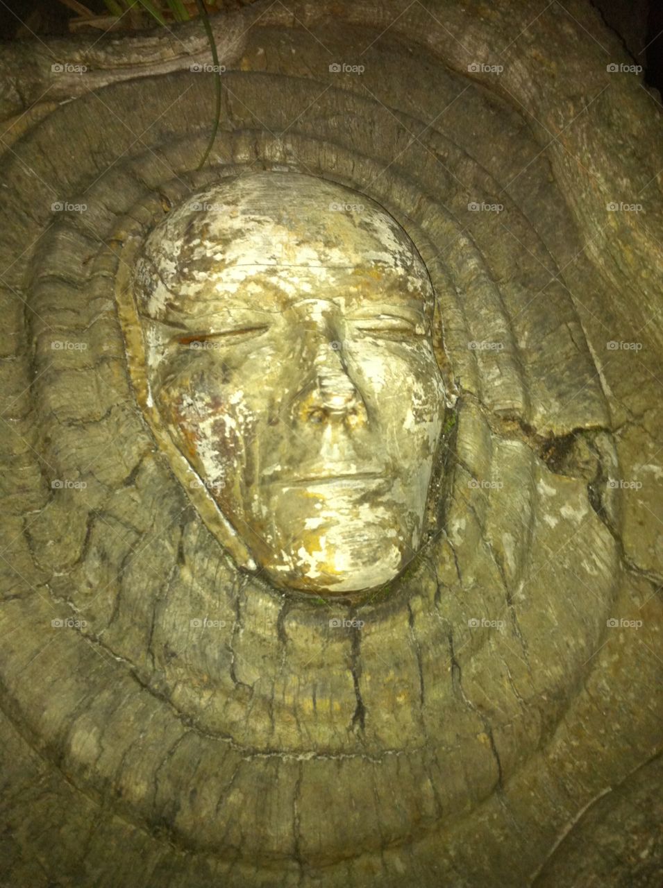 Tree Spirit of St. Simons Island