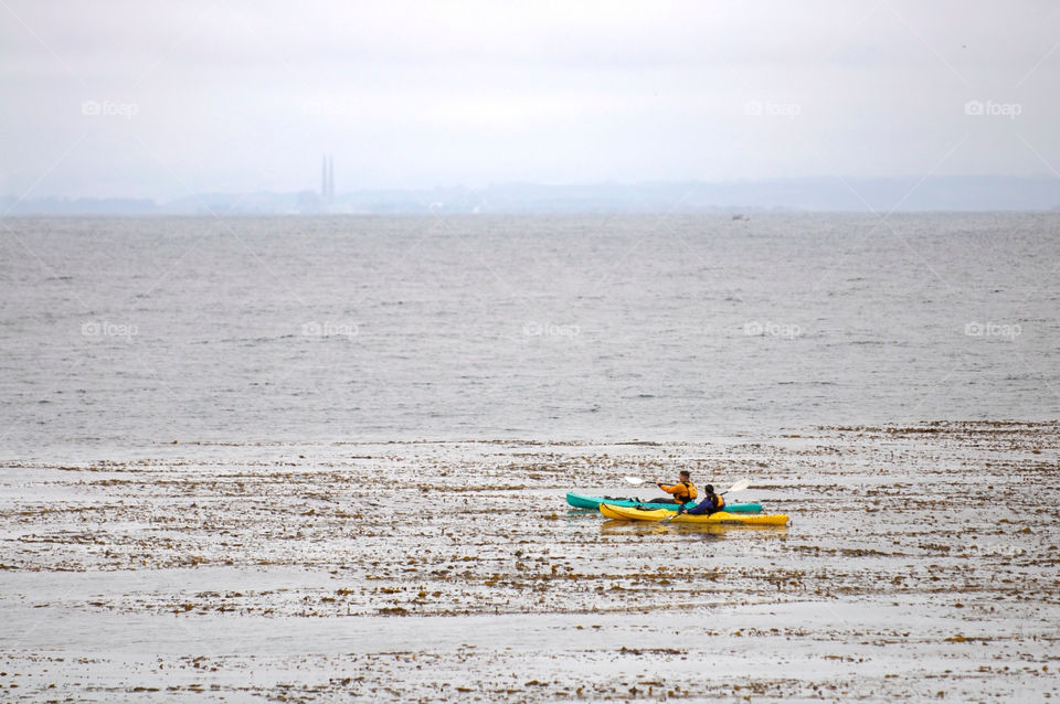 summer plant vacation sea by stephenkirsh