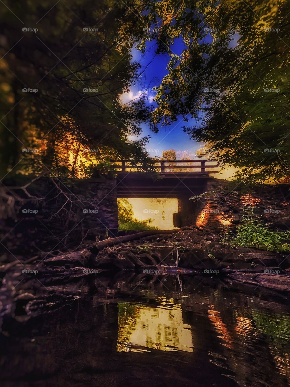 A small beige in the woods. A small wooden bridge at the edge of the forest. 