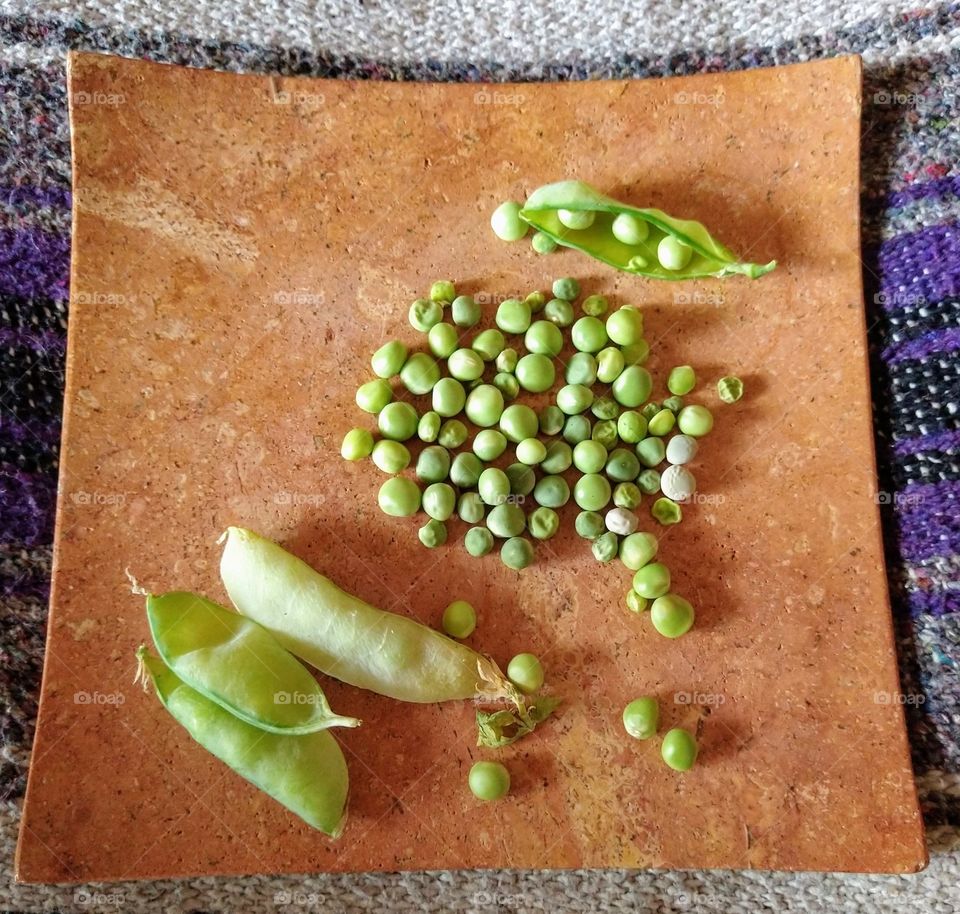Grow food to eat and save seeds to plant again. Peas 2020