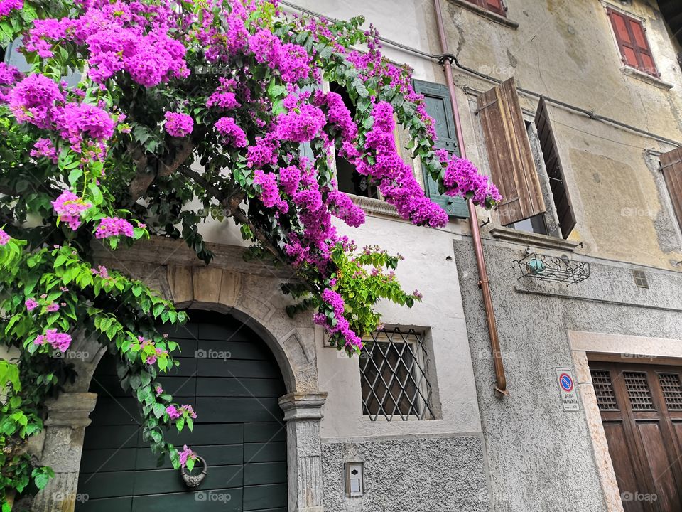 Typical italian house, full of flowers