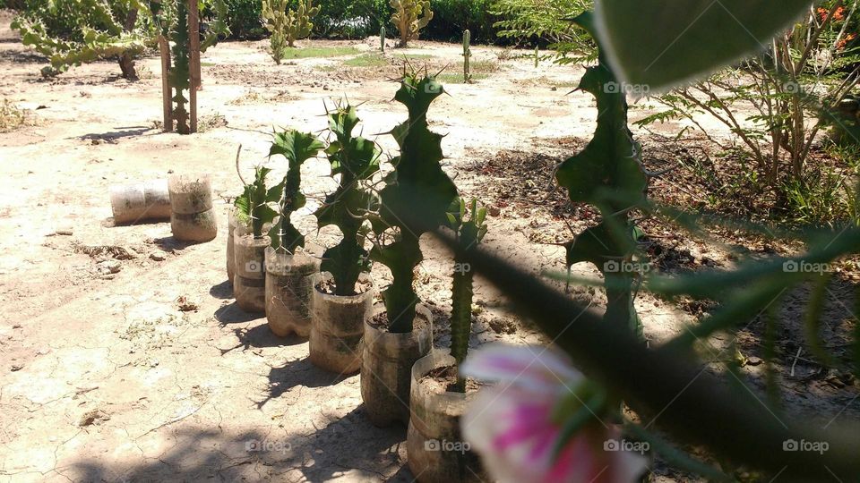 Menonitas de Santiago