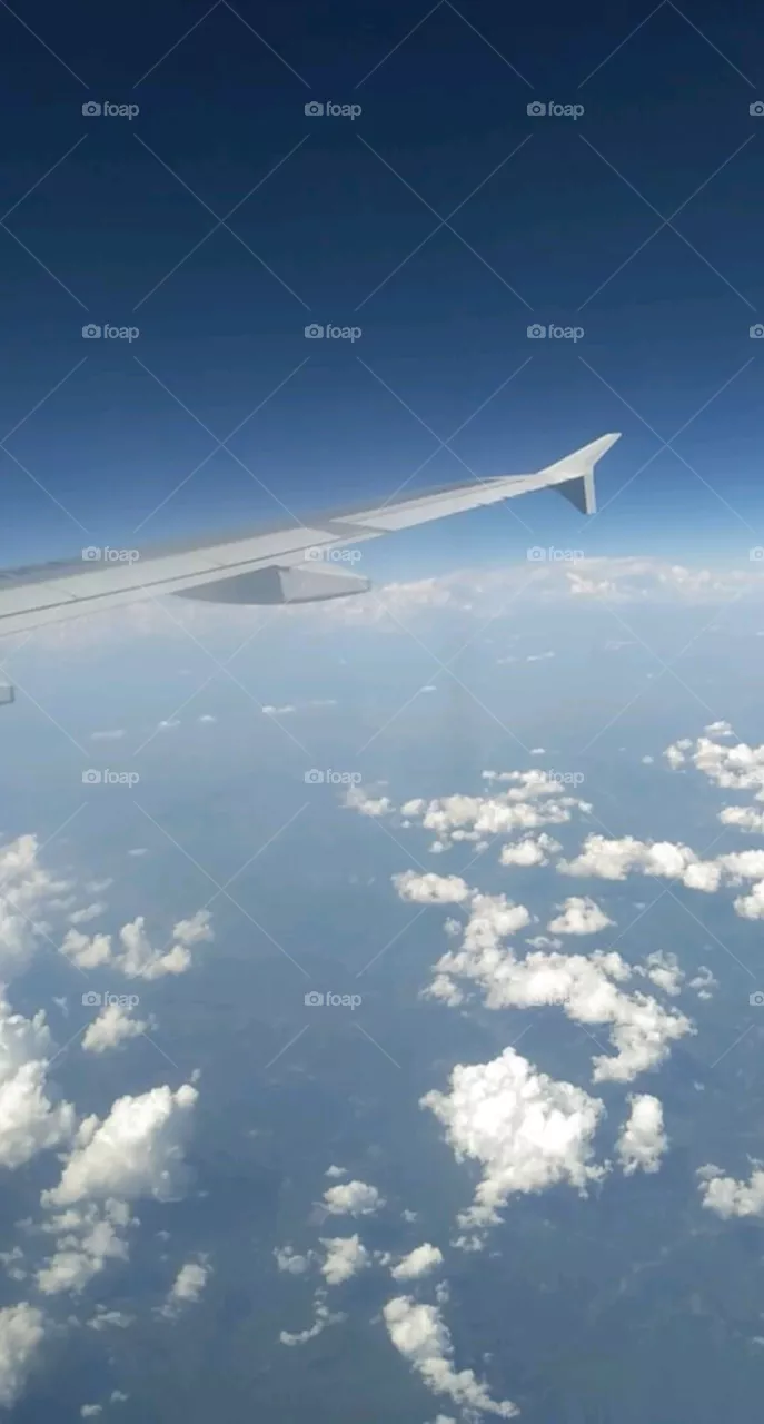 Plane