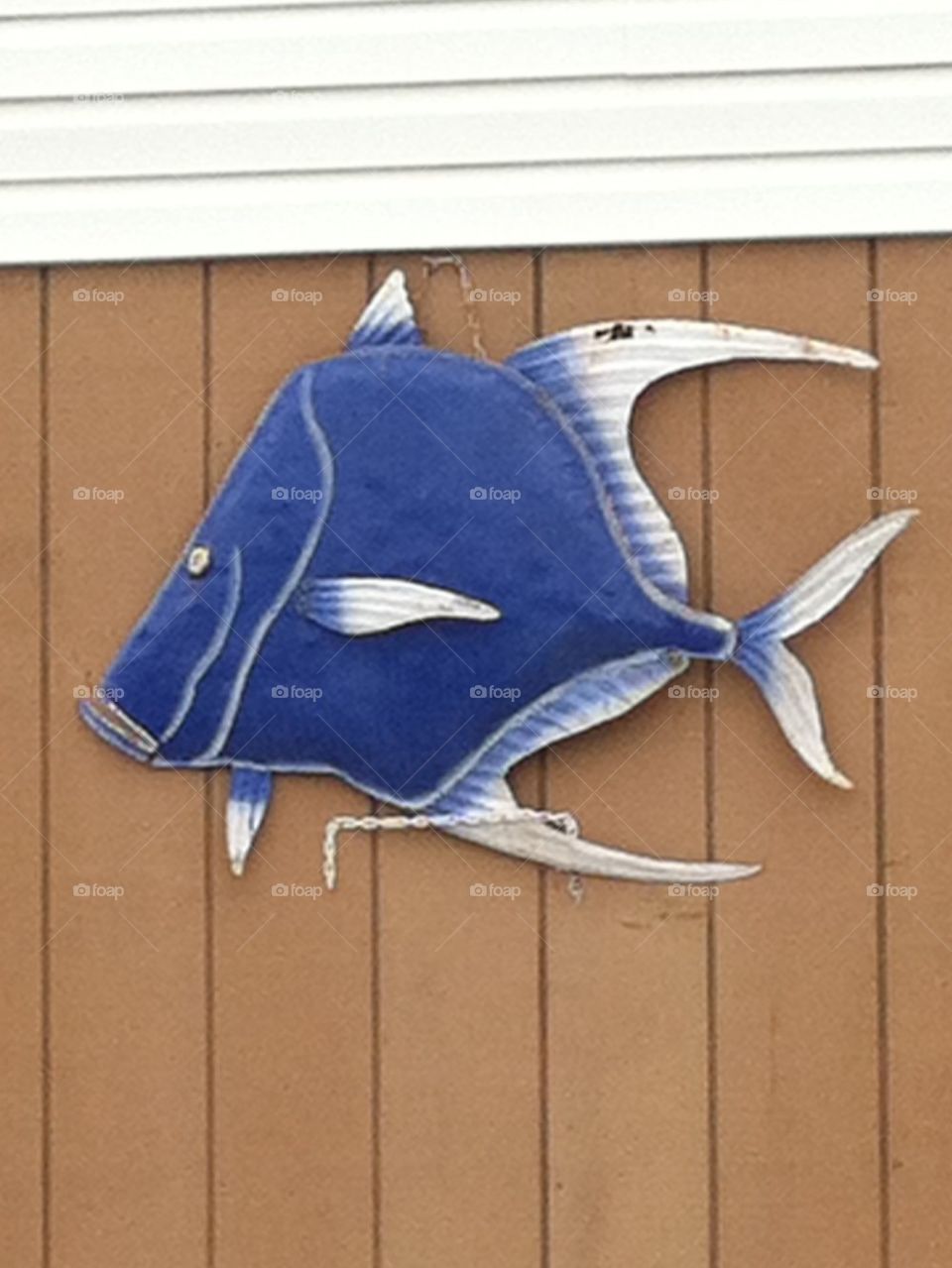 Jersey shore fish kitschy