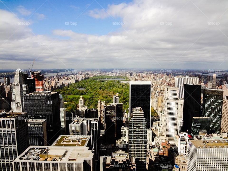 Central Park Cityscape