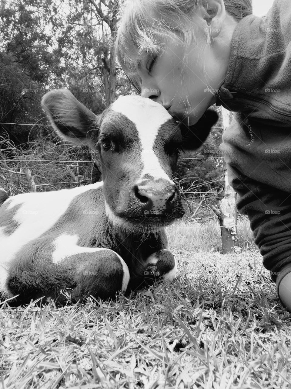 Calf and human 