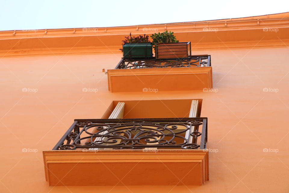 Potted plants on a balcony 