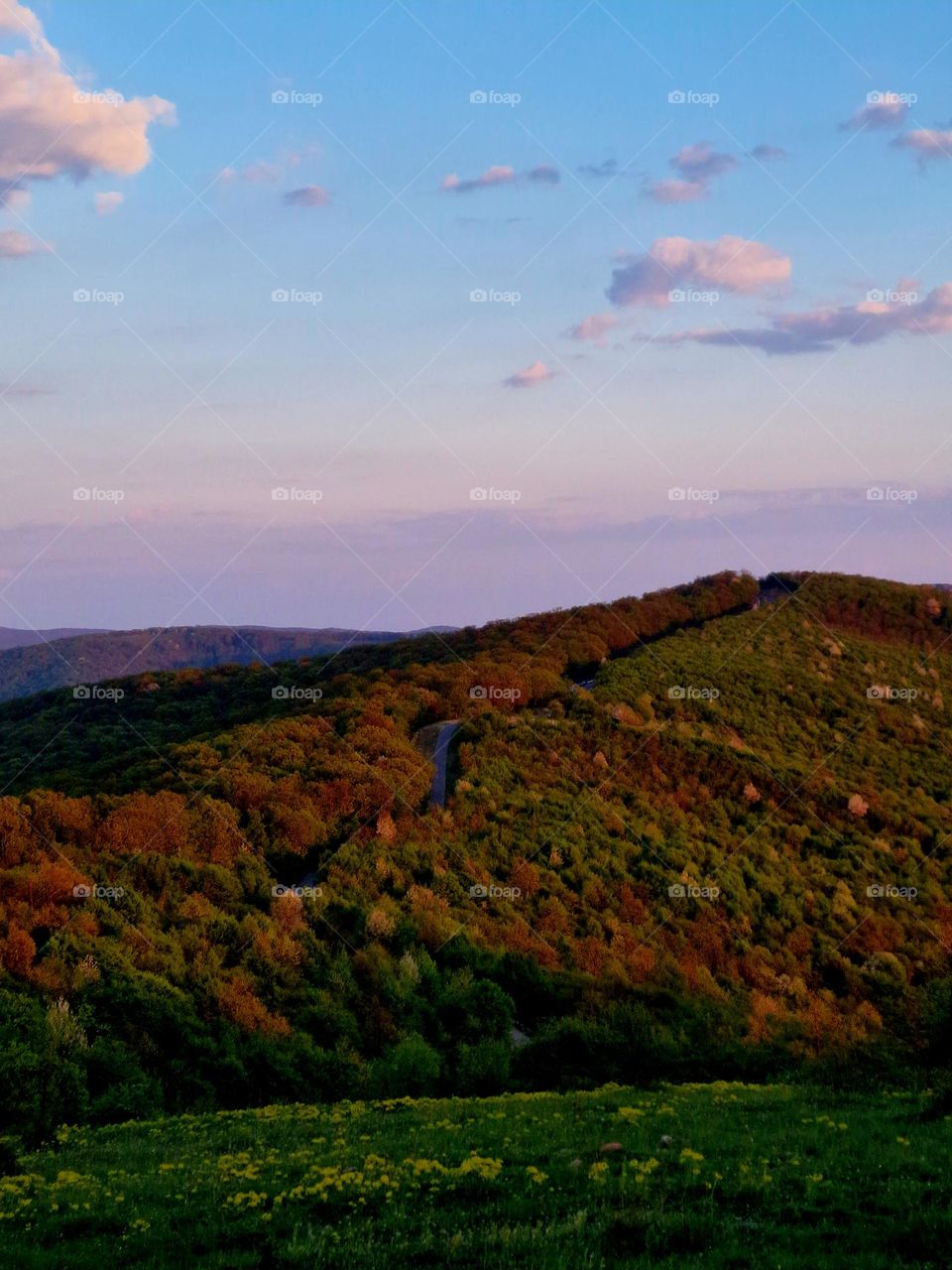 autumn above the forest