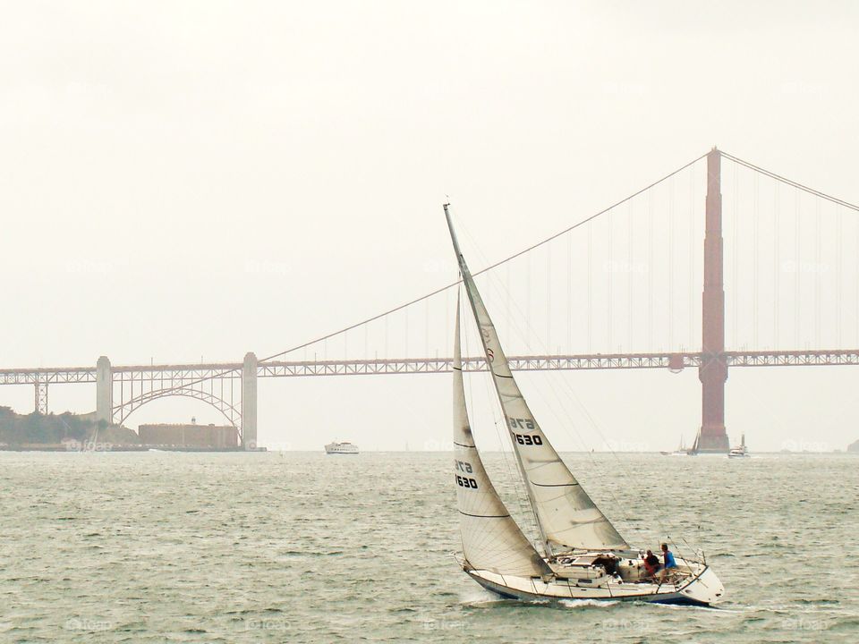 sailing by the golden gate