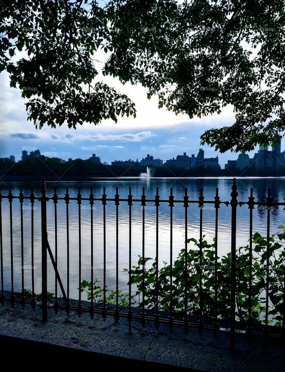 Evenly Spaced Fence in Central Park NYC