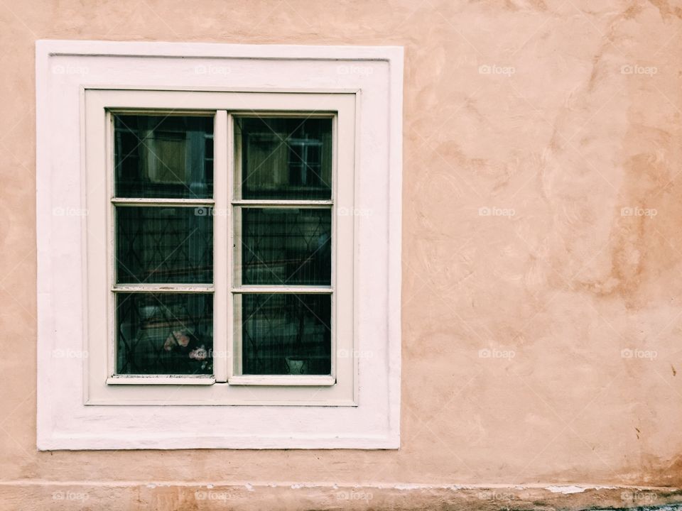 Window