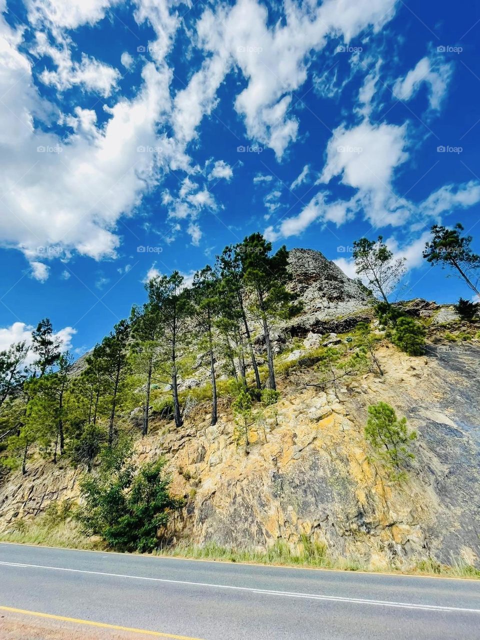 This tells a story and nature knows the script. 