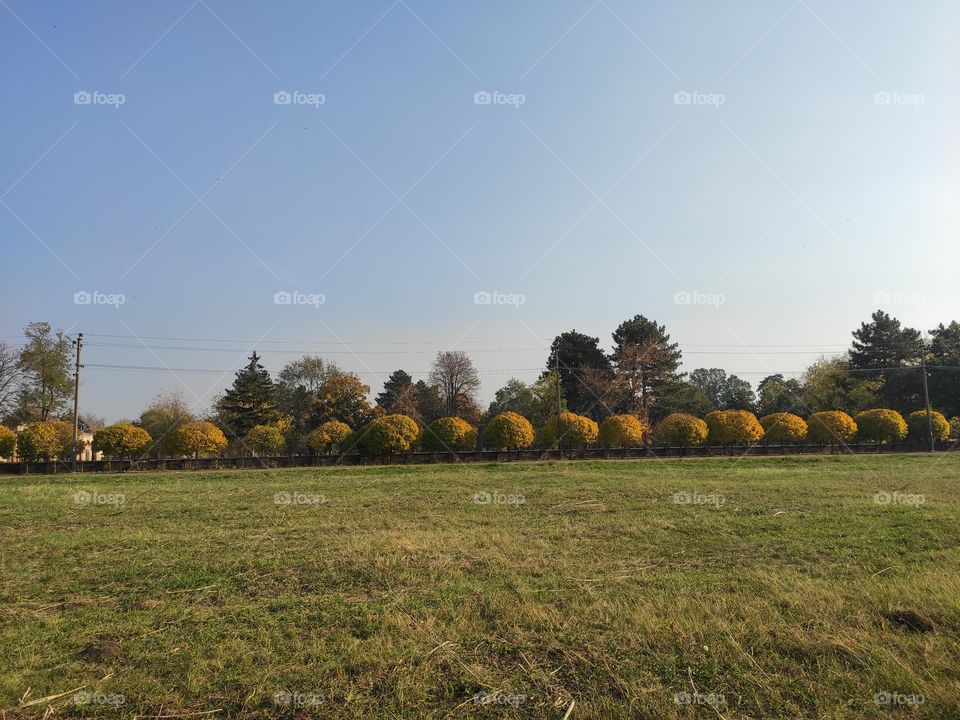 Kastel Ecka Zrenjanin Serbia line of round trees