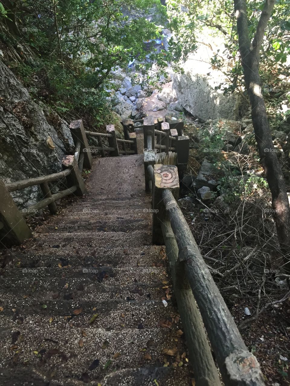 Concrete stairs going in the forest jungle leading down to the Grotto on Saipan. 