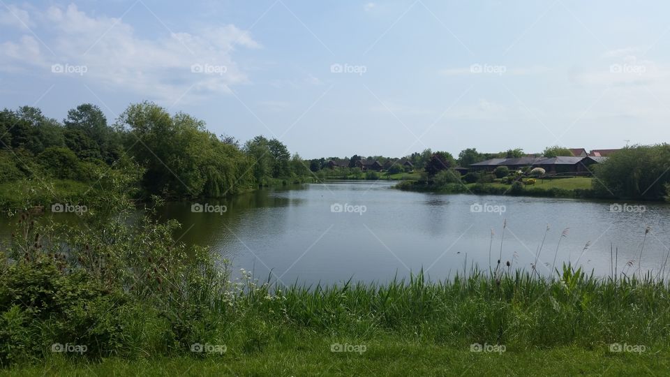 lake in a summer's day