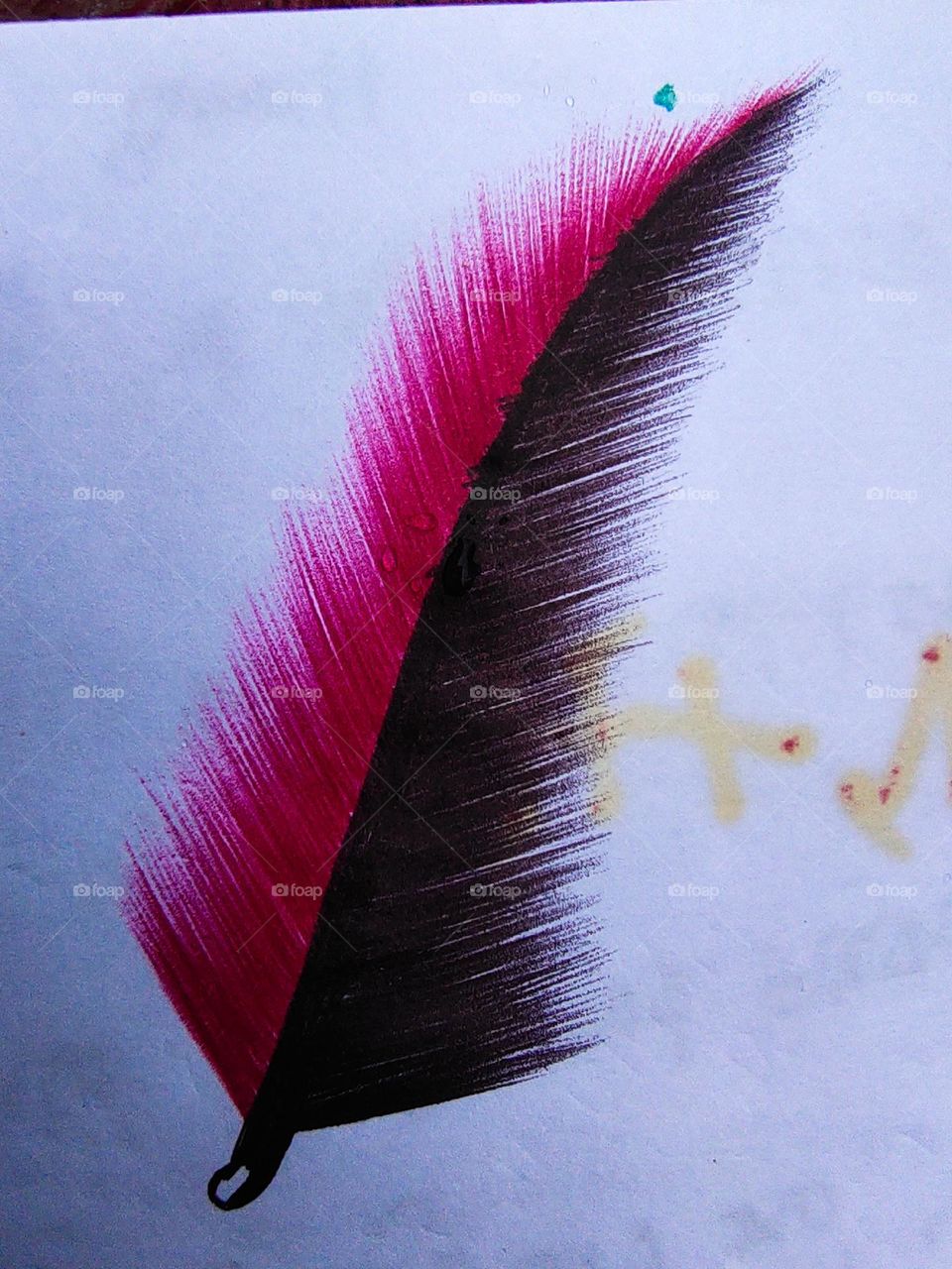 The picture of Tia bird's feathers looks very beautiful.  I took this picture myself.  I'm on the account page guys.