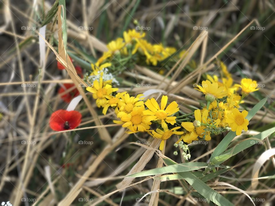 Wreath on dry grass