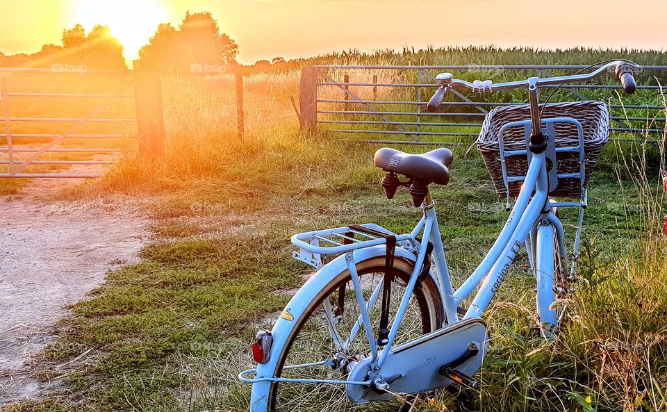 blue bike in the Netherlands parked in the fields at dawn with fence at the background