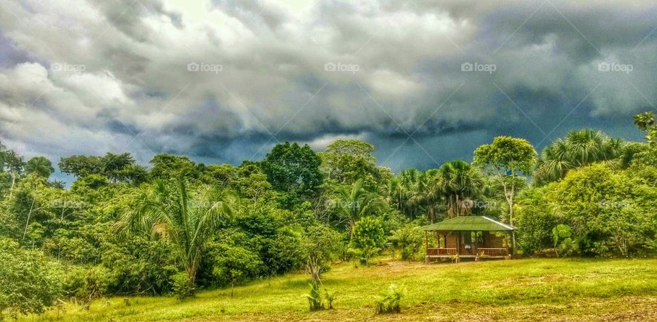 cloud, house, forest, Amazon, rio, Momon, iquitos, peru, river, lodge, trees, nature, time, little, 