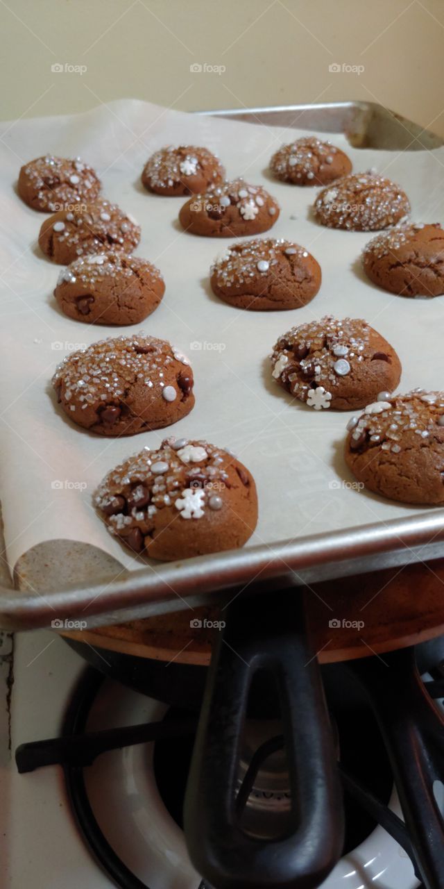 silver sprinkle gingerbread cookies