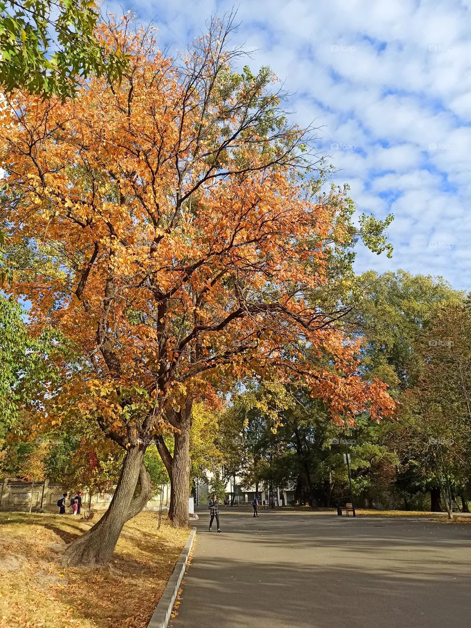 Autumn day.