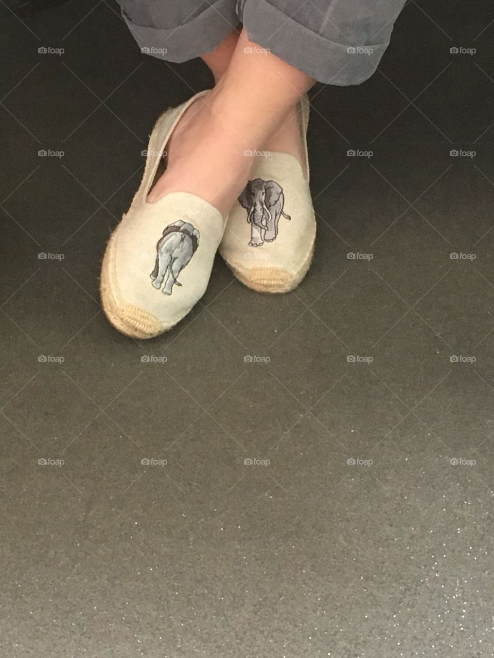 Elephants- morning commuters 