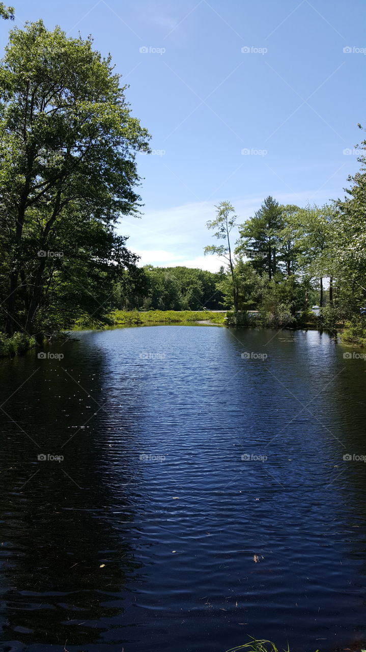 Pond, Dayton, Maine. fishing in southern maine