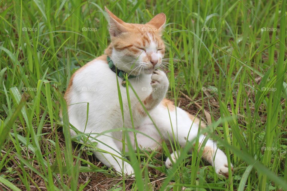he smell somethings delicious on his hand